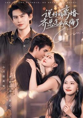 说好的离婚齐总怎么反悔了(全集)